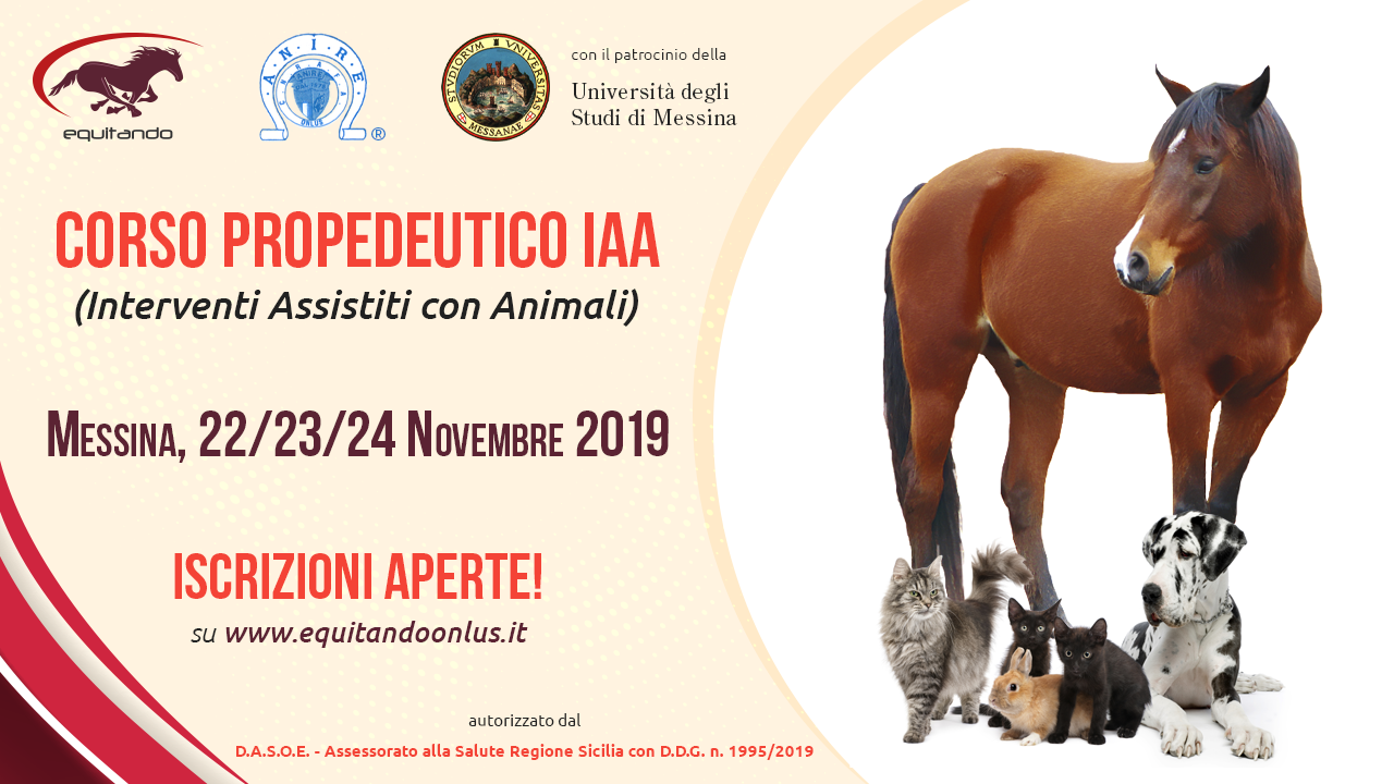 pic-corso_propedeutico