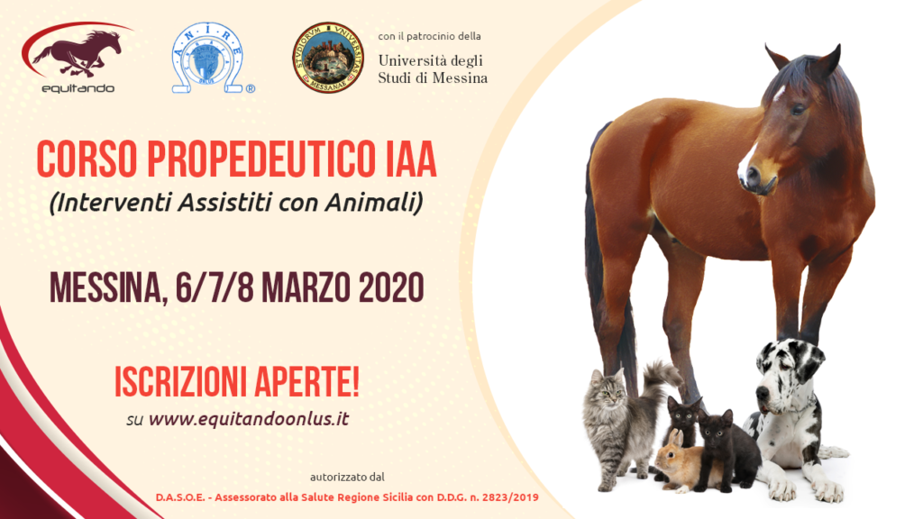 pic-corso_propedeutico