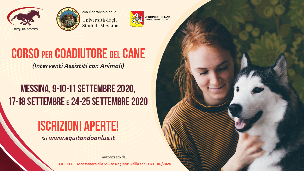 pic-corso_coadiutore_cane
