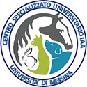 centro-iaa