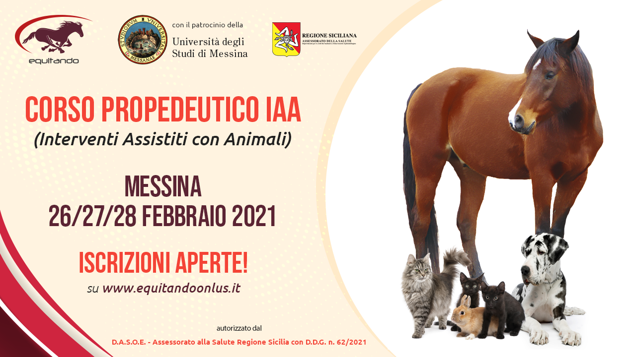 pic-corso_propedeutico