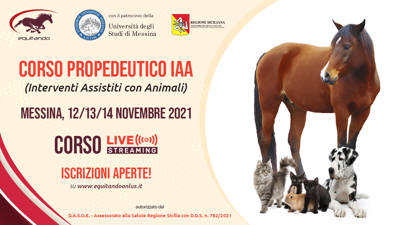 pic-corso_propedeutico-livestream