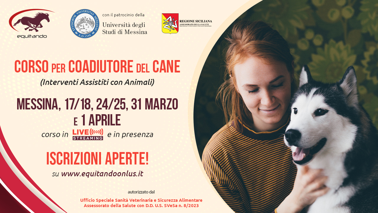 pic-corso_coadiutore_cane