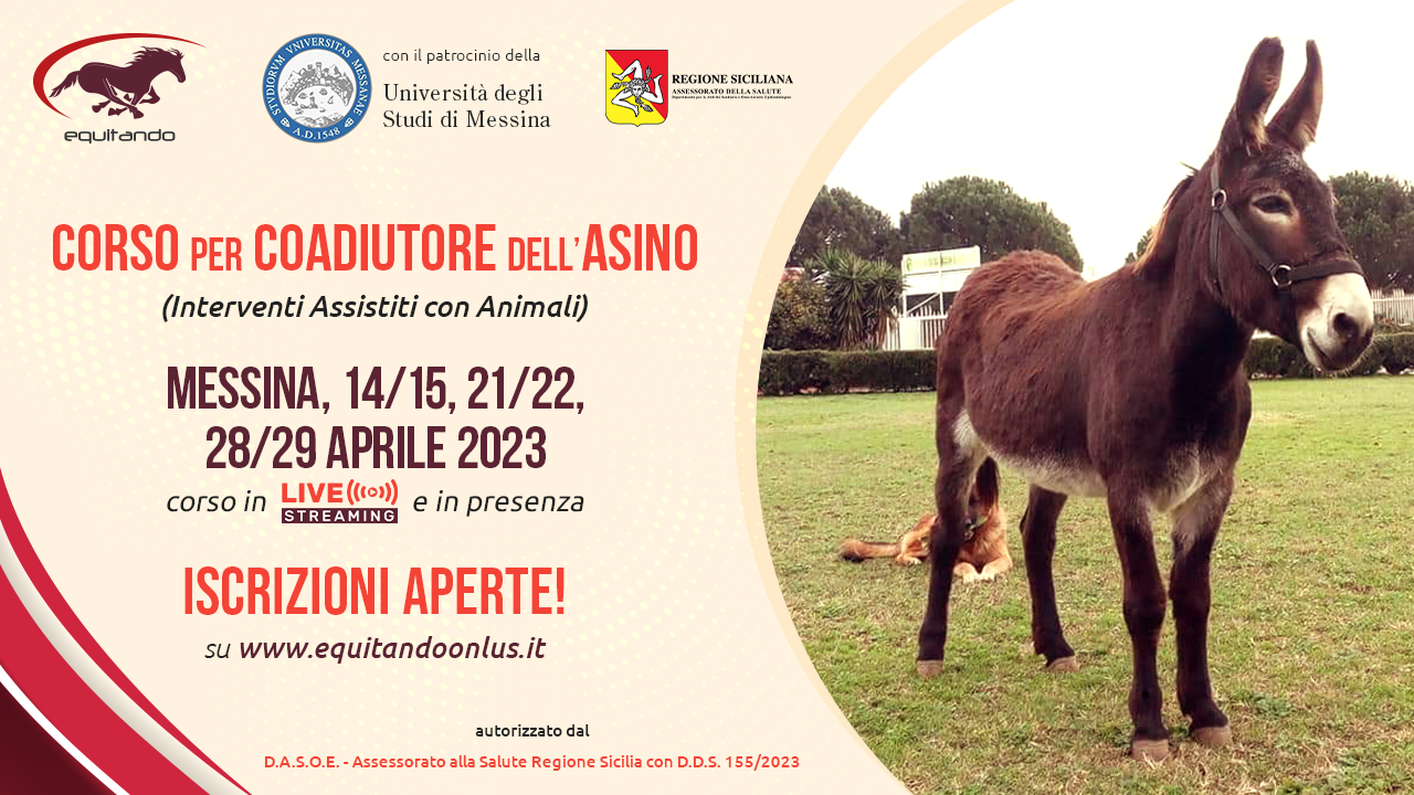 pic-corso_coadiutore-asino
