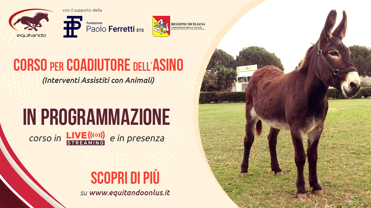 pic-corso_coadiutore-asino_programmazione