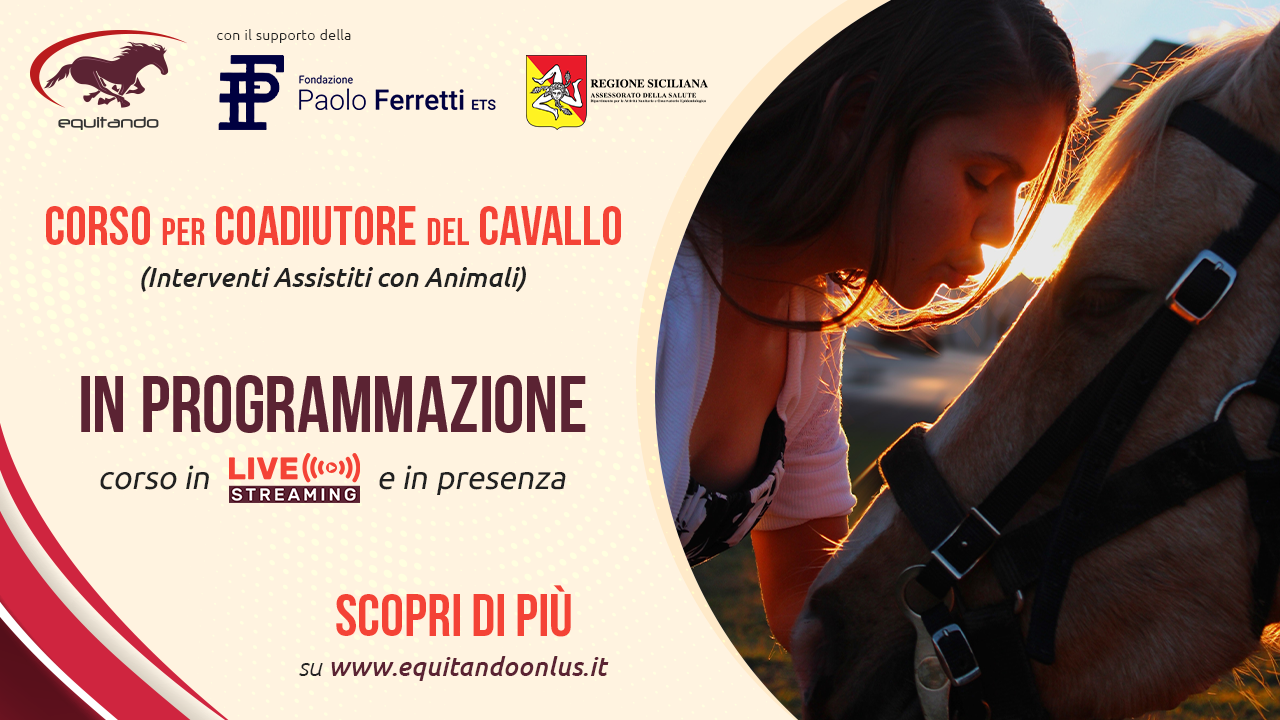 pic-corso_coadiutore-programmazione