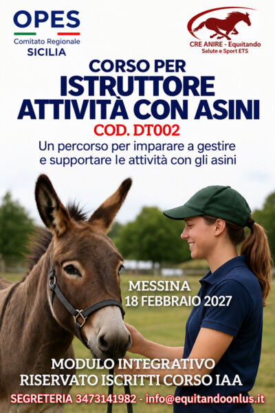 Attività con Asini